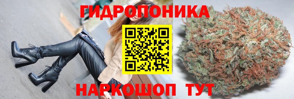 Канабис индика  Вход с VPN  Марихуана план  Березники 